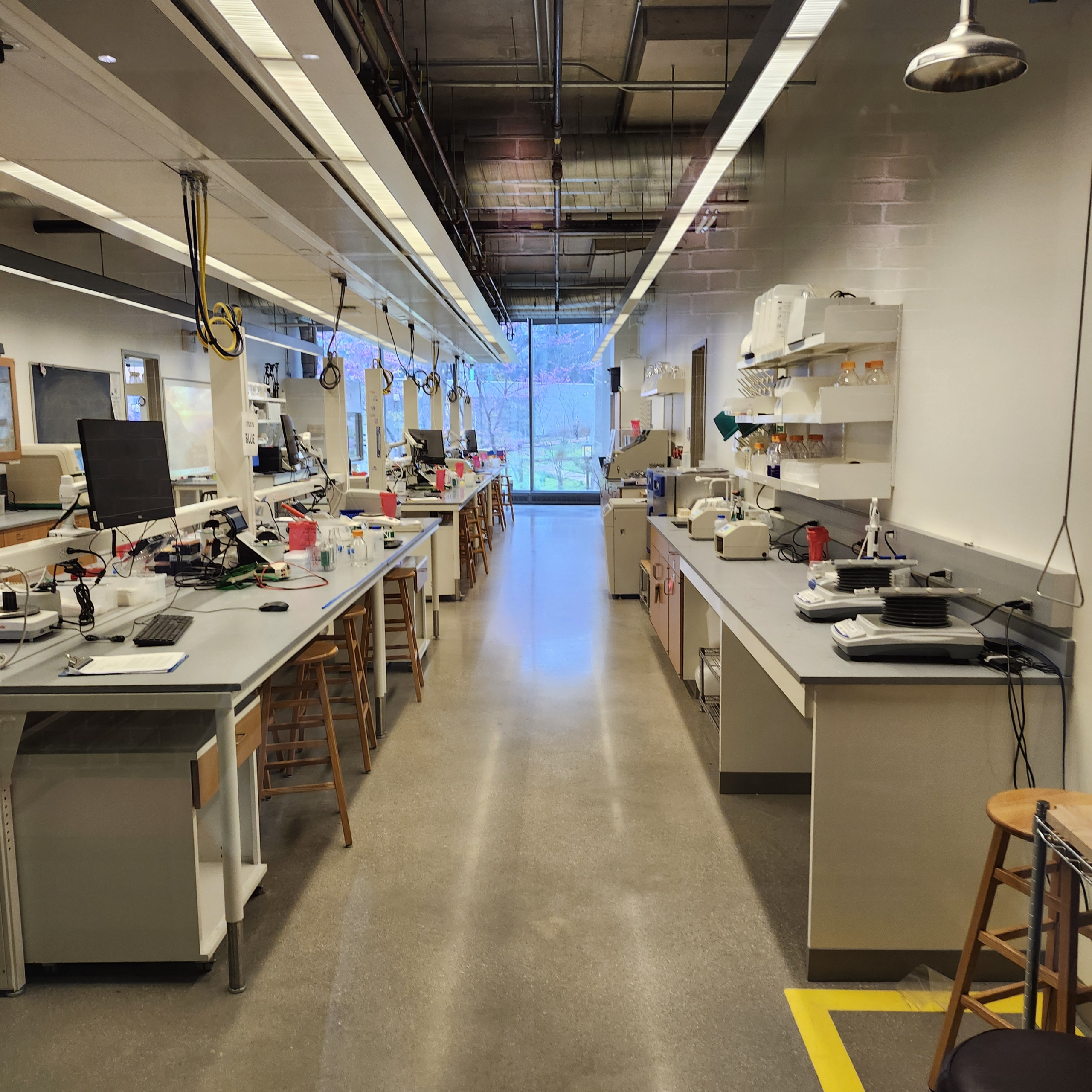 PhD dissertation success traits PhD dissertation success traits